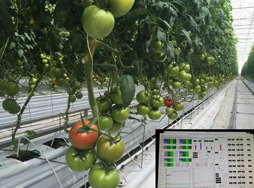 New project for energy researchers will improve sustainability for smart farms in South Korea