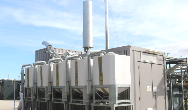 Bioenergy and biofuels